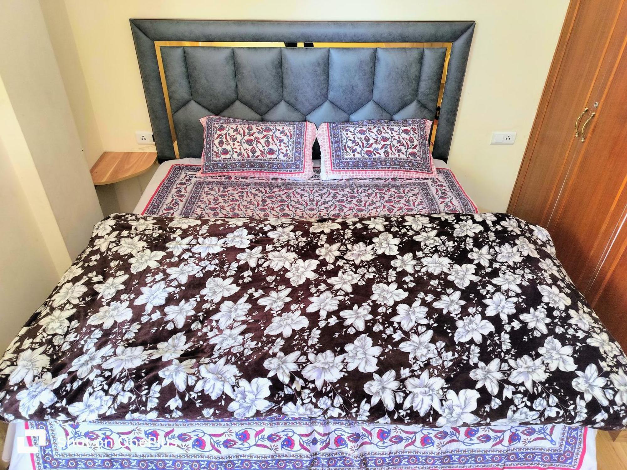 Shimla Vibes B & B Free Pick And Drop From Isbt Шимла Екстериор снимка