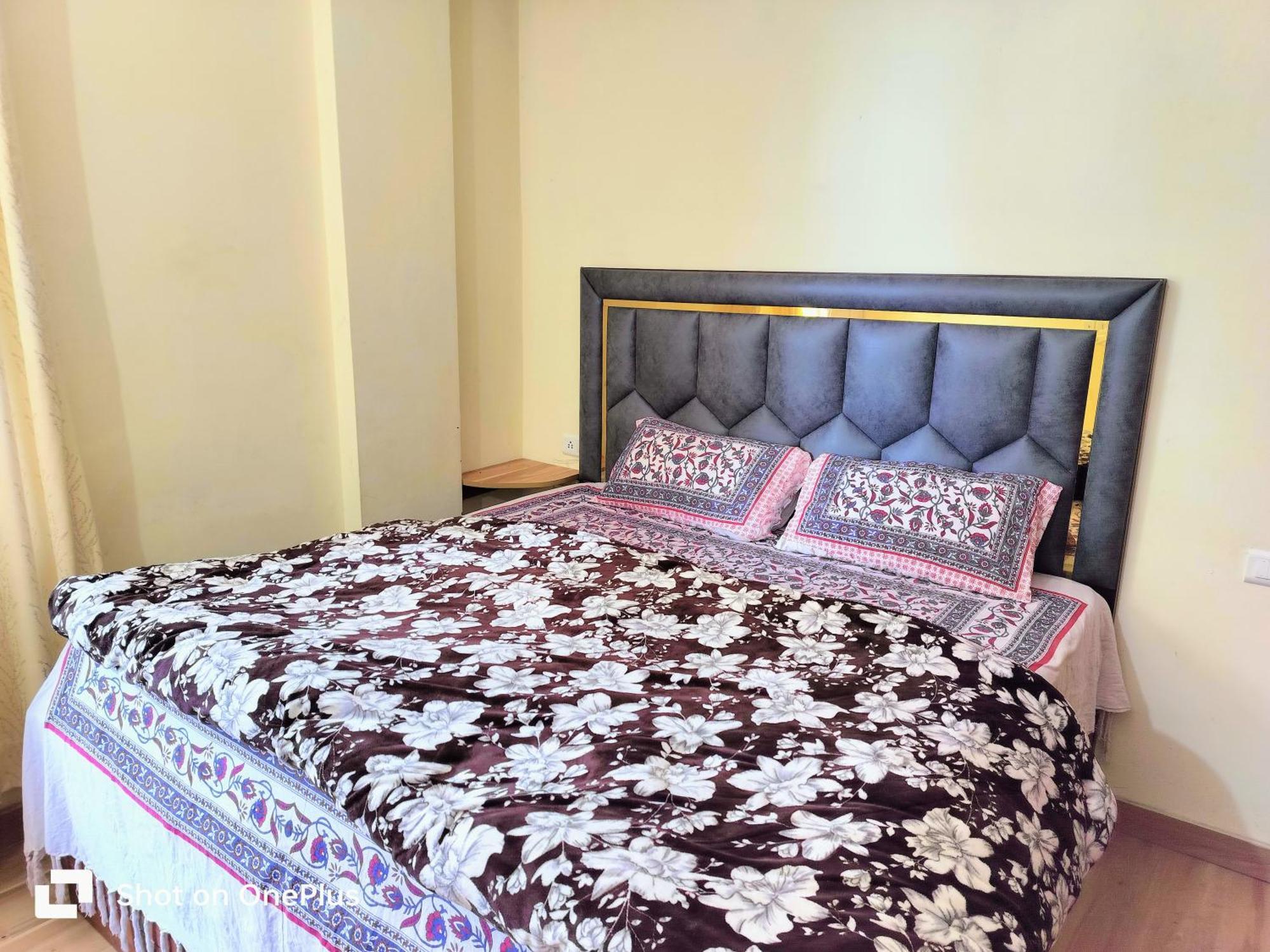 Shimla Vibes B & B Free Pick And Drop From Isbt Шимла Екстериор снимка