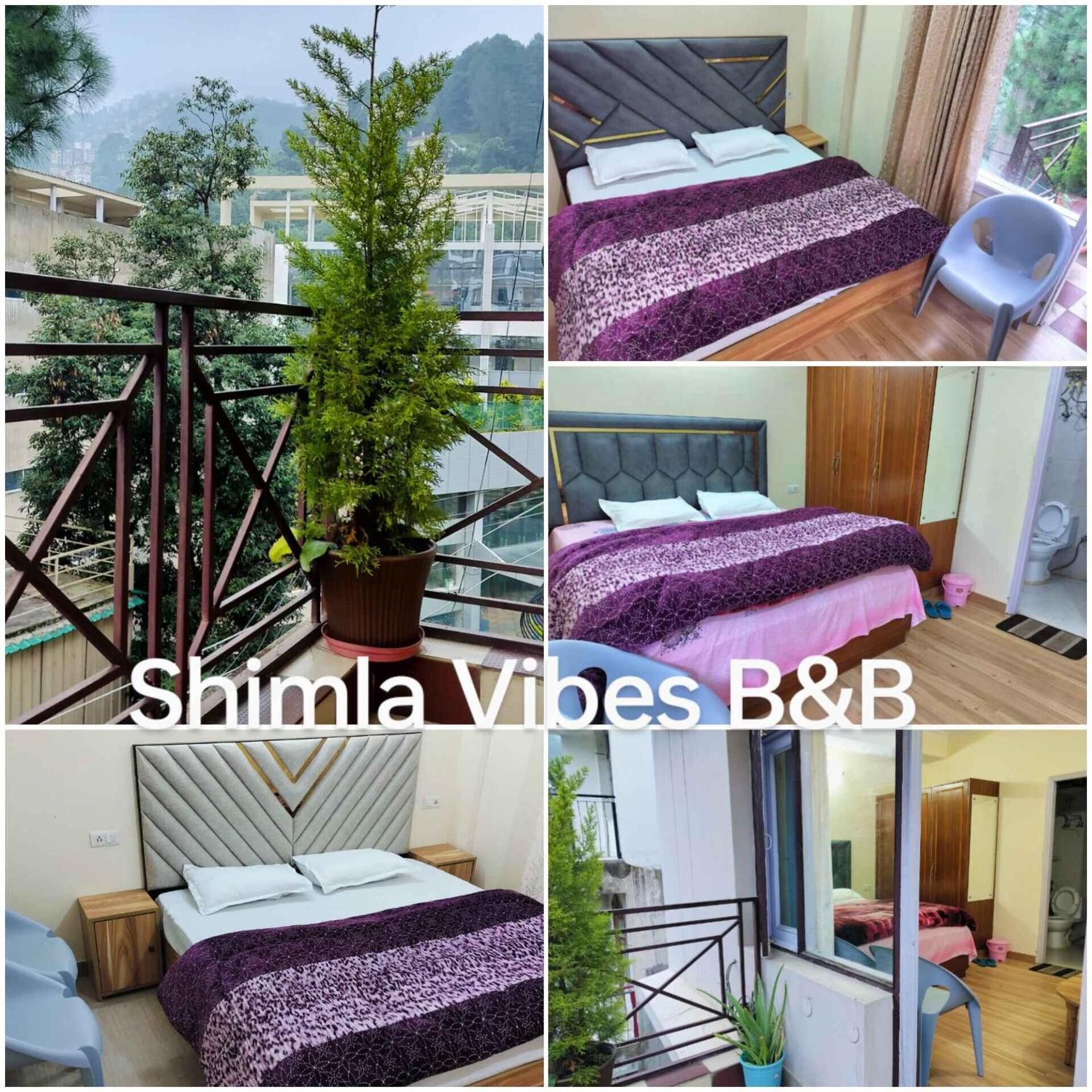 Shimla Vibes B & B Free Pick And Drop From Isbt Шимла Екстериор снимка